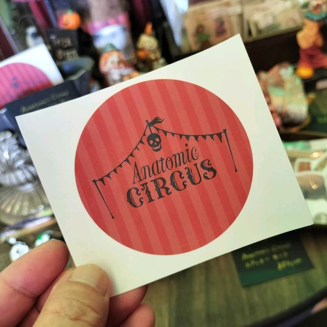 夏旅は京都へ行こう💠オープンしたばかりのサーカスみたいな雑貨屋さん