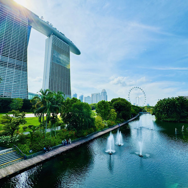 🇸🇬 Dragonfly bridge