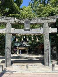 【福岡神社】四季折々のイベントや花手水が楽しめる神社