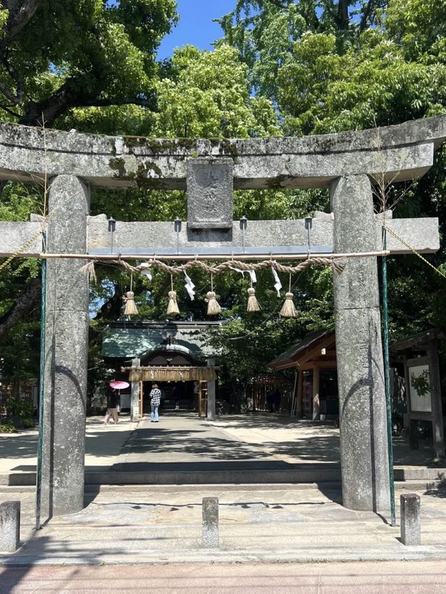 【福岡神社】四季折々のイベントや花手水が楽しめる神社
