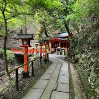 小國神社：日本神道文化的優質目的地，悠久歷史傳統，感受神聖氛圍