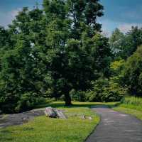 「下賀茂熱帶植物園：熱帶雨林奇景，原始自然之旅」
