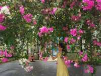 【宮古島】南国のお花がいっぱいユートピアファーム🌺