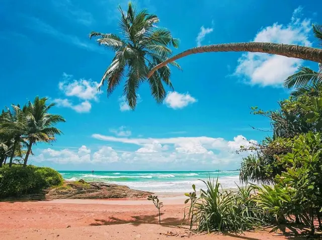 🏖️ Relaxing Beach Stay in Sri Lanka