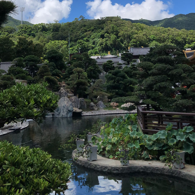 🇭🇰 Chi Lin Nunnery Hong Kong 🇭🇰  🇭🇰 Chi Lin Nunnery Hong Kong 🇭🇰