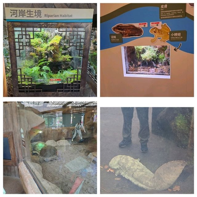 海洋公園遊玩的個人感受