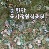 순천 반드시 가야할 곳! 순천만 국가정원!