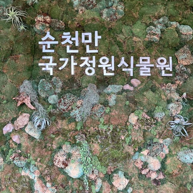 순천 반드시 가야할 곳! 순천만 국가정원!