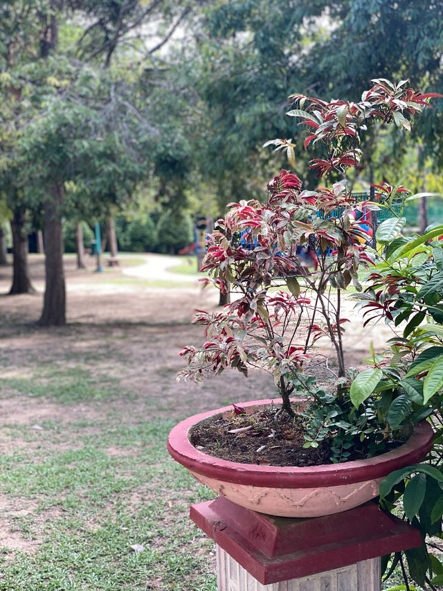 An floral garden worth to visit! 