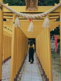【茨城】令和になって初めて建てられた黄金の神社！