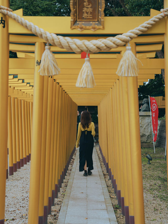 【茨城】令和になって初めて建てられた黄金の神社！