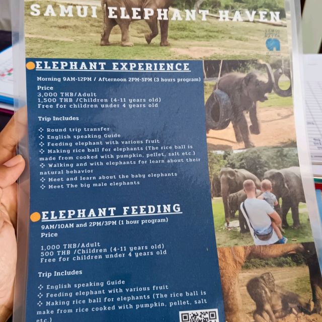 Samui Elephant haven คนรักช้าง