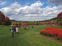 日本北海道-上萬株由綠轉紅的可愛波波草：由仁花園 Yuni Garden