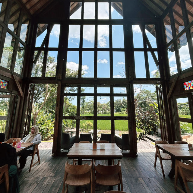 DREAMY LUNCH at Rice Fields!✨