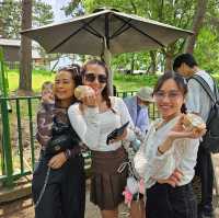 Nara เมืองแห่งกวาง