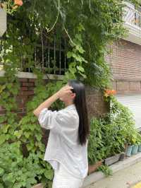 서울 서촌의 여름 ‘능소화’ 포토스팟 추천 🌺