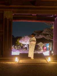 〜京都府〜世界遺産二条城桜まつり