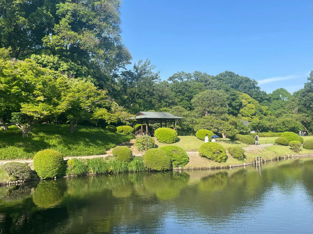 新宿御苑：綠洲中的寧靜美，值得多次造訪！🔥🔥🏖️