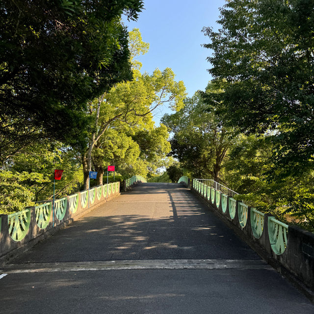 【兵庫県 加東市】とにかく自然に触れられる公園！