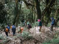 Day 5 Mardi Himal  (Low Camp - Pokhara)