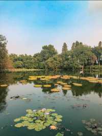 The Beautiful West Lake in Hangzhou 🇨🇳
