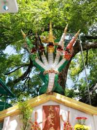 สักการะพระเจ้าตากสิน วัดลุ่ม