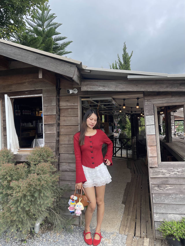 Magic mountain camp Cafe 🌳💗✨
