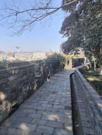 驚鴻閱江樓，登高遠望之