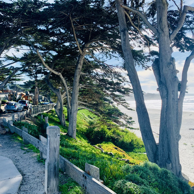 Exploring the 17-Mile Drive: A Scenic Coastal Journey