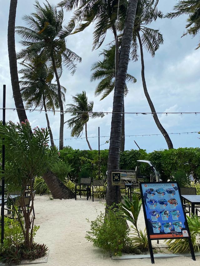 Hotel choice in Maafushi island 👍🏻