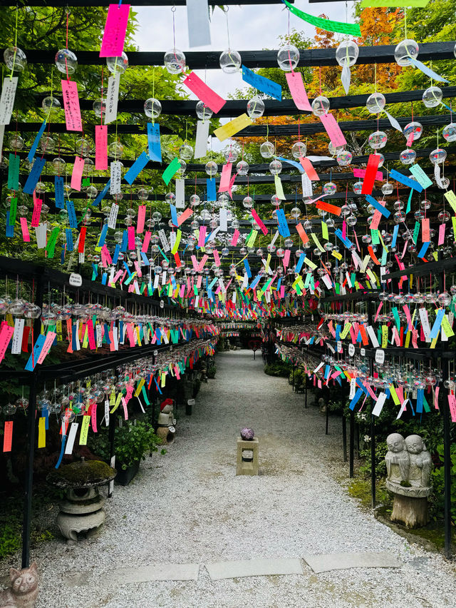 【福岡観光】涼しげな風鈴とシャボン玉が楽しめるお寺🎐