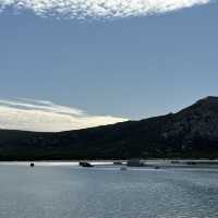 Unveiling the West Coast National Park’s Best-Kept Secret
