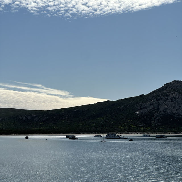 Unveiling the West Coast National Park’s Best-Kept Secret