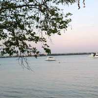 A Tranquil Escape to Matilda Bay: Meeting Perth’s Majestic Black Swans