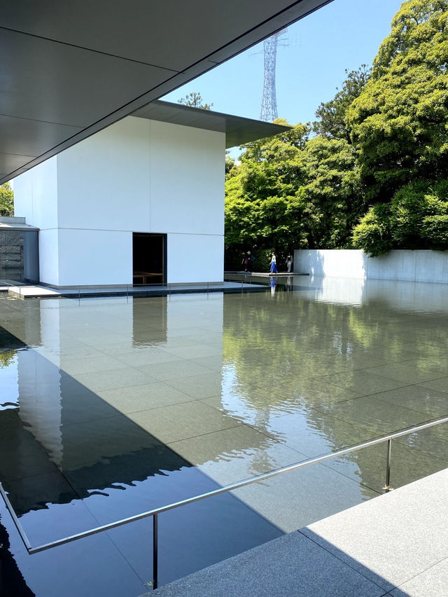 【禅の世界を体感する🌱鈴木大拙館✨】