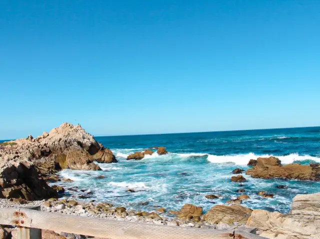 Postcards from 17 Mile Drive, California