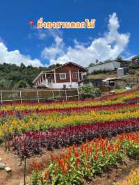 📍 ยิ่งยงสวนดอกไม้ 