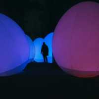 ไปดู Digiata Art สุดเท่ที่ teamLab Osaka กัน