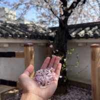 Kofu Castle is a Hidden gems in Japan 🇯🇵 