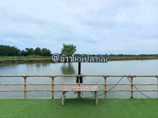 อาหารทะเลท้องถิ่นบรรยากาศดี
