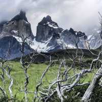 Into the Wild: Trekking Through the Majestic Torres del Paine
