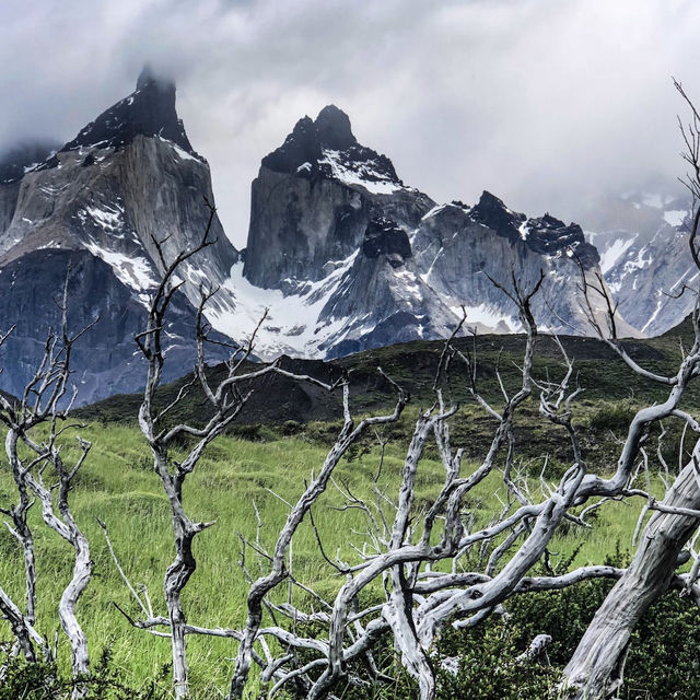Into the Wild: Trekking Through the Majestic Torres del Paine