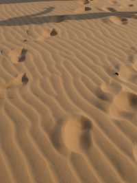 เที่ยวทะเลทราย white sand dune  ที่มุยเน่ 