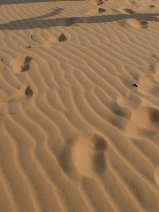 เที่ยวทะเลทราย white sand dune  ที่มุยเน่ 