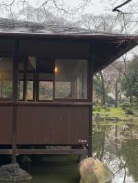 오사카와서 여길 왜 안가? 일본 느낌 낭낭⛲️🏡