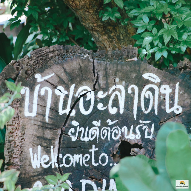 ผัดไทย"บ้านอะลาดิน" 