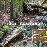 #เที่ยวน้ำตกระยอง #น้ำตกเขาชะเมา #น้ำตกสวยมาก