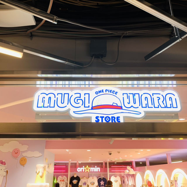 表参道　むぎわらストア！！