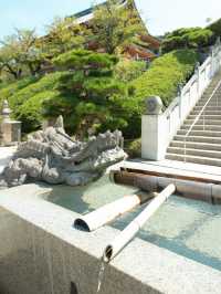 【広島】異世界のような美しい景色