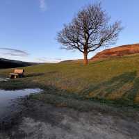 A Gateway to Adventure Just Outside Sheffield